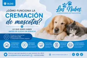 como funciona la cremacion de mascotas en santiago