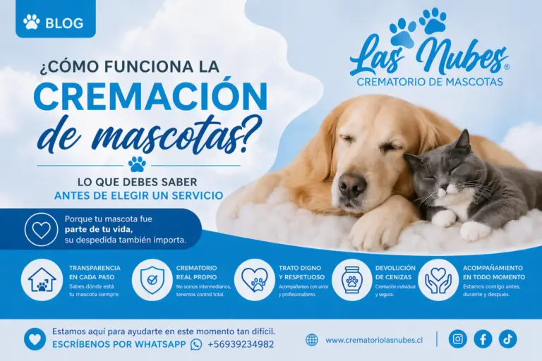 como funciona la cremacion de mascotas en santiago