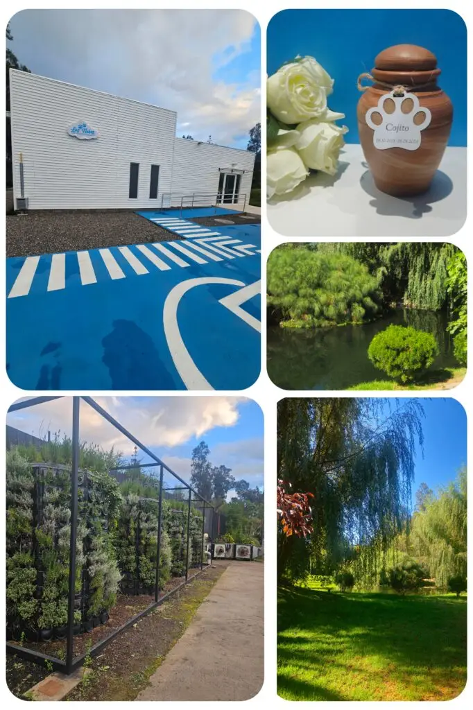 instalaciones de crematorio de mascotas las nubes en santiago